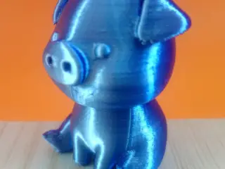 Pig Cute