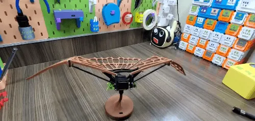 会动的鸟类骨骼
