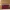 Tap to Pay Gold Bar
