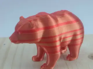 Bear