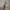 Bibliothécaire Magique