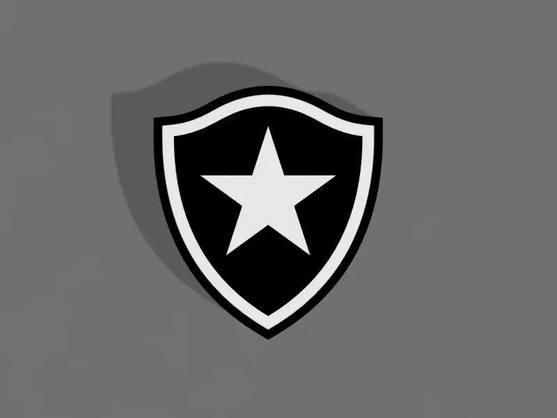 Botafogo - Brasileirao