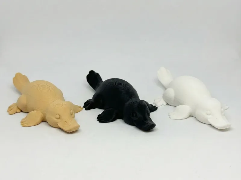 鸭嘴兽