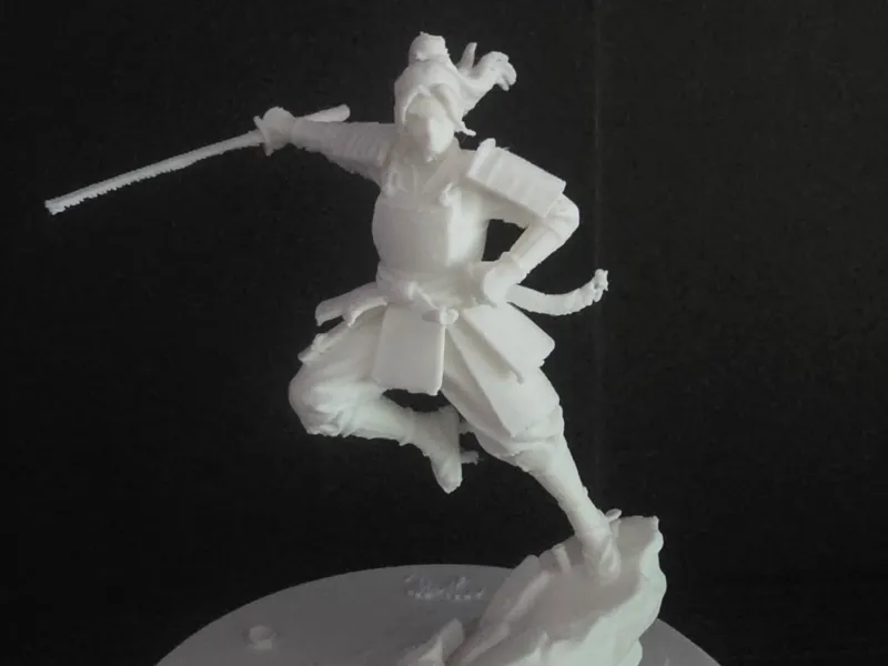 女武士