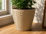 flower pot-0