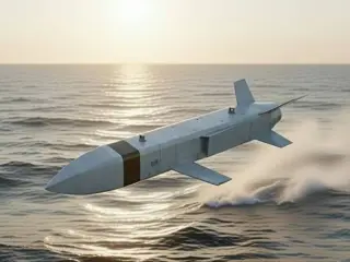Air Launched Cruise Missile