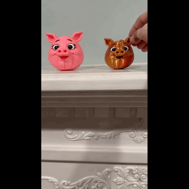 Piggy Twist Fidget Toy