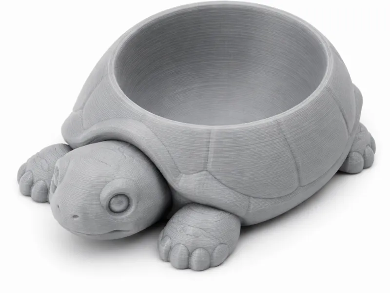 Turtle Bowl