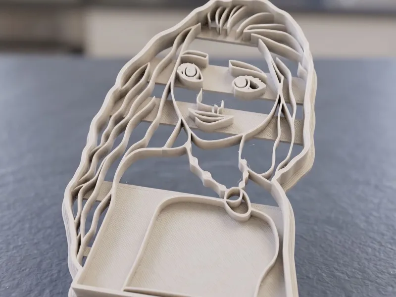 Cookie Cutter Moana