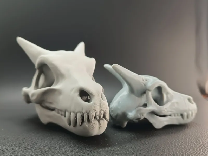 Pokemon Charizard Fossil Skull – Ancient Dragon