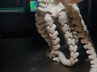 SKULLSQUID CFS