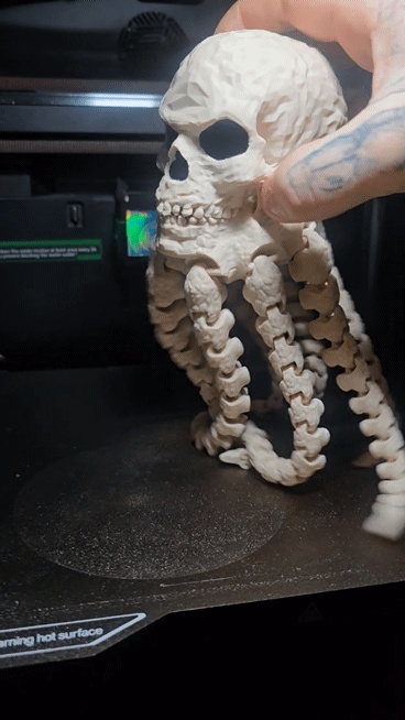 SKULLSQUID CFS
