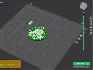 Chaveiro Palmeiras