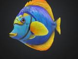 Fish - Peixe-0
