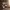 Figura Funko Pop Plus Seraphina Bloodstone