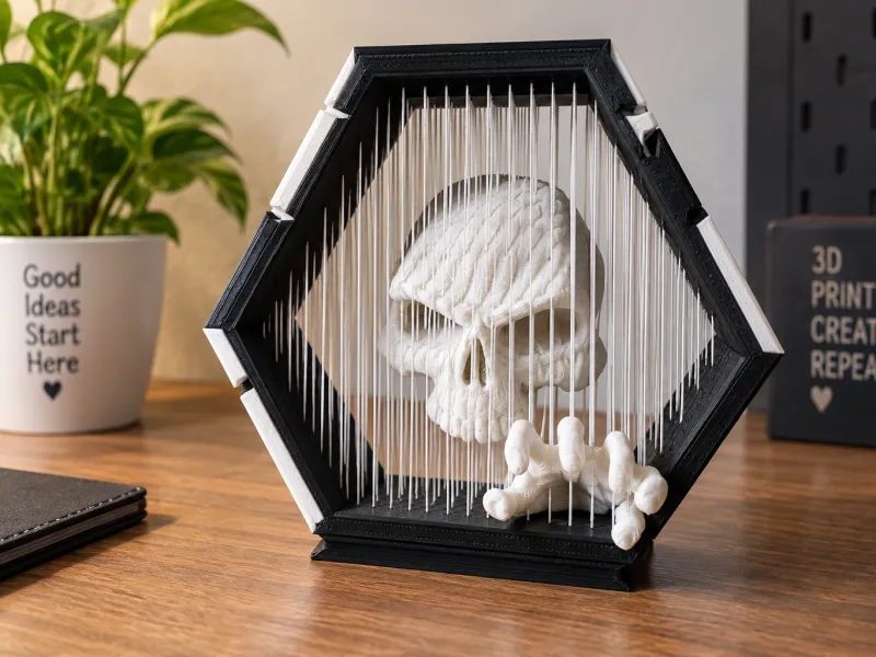 skull suspended