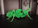 Articulated Praying Mantis-0
