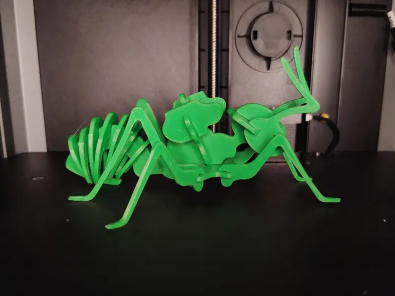 Mantis Religiosa Articulada
