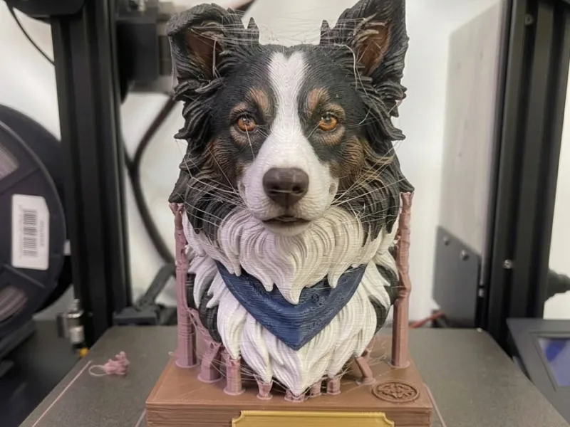 Border Collie Dog Bust STL Pet Sculpture