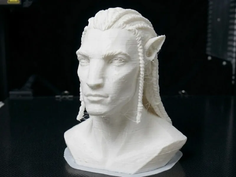 Avatar Bust