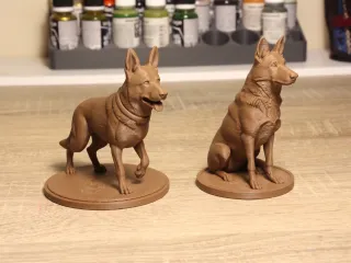 German Shepherd Dogs
