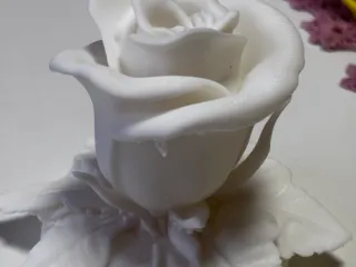 Rose decoration