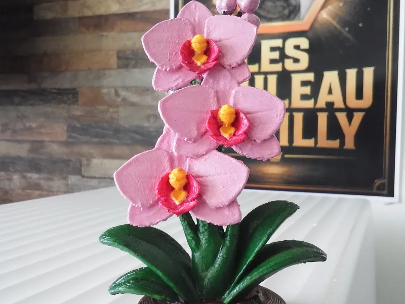Scultura di orchidea moderna ed elegante