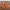 Traffic Cones 