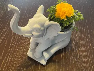Maceta Elefante