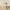 Cane Palloncino Low Poly