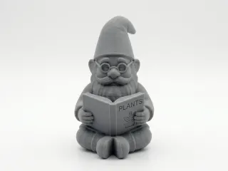 Reading garden gnome