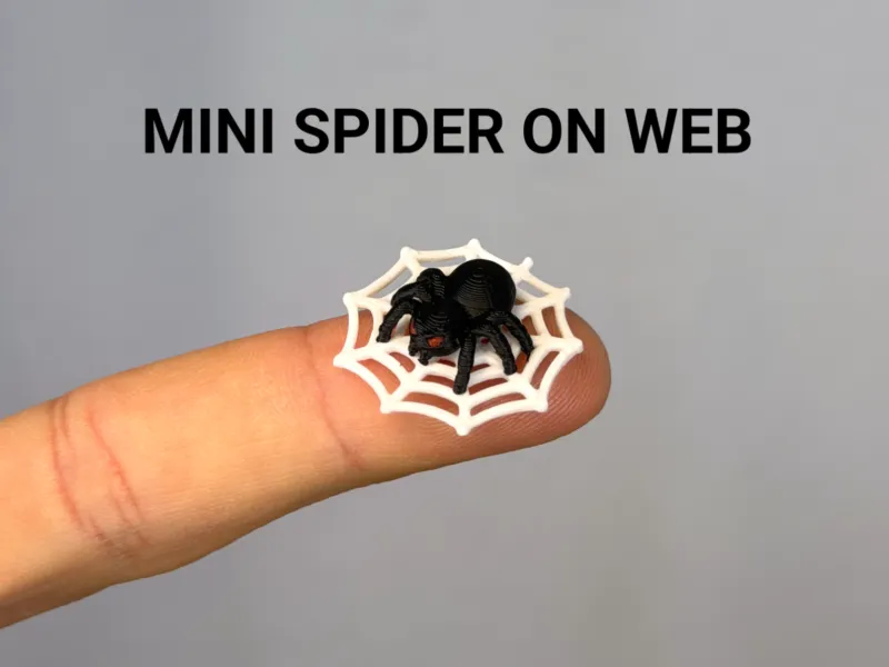 Mini-Spinne im Netz