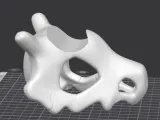skull soport for controller-0