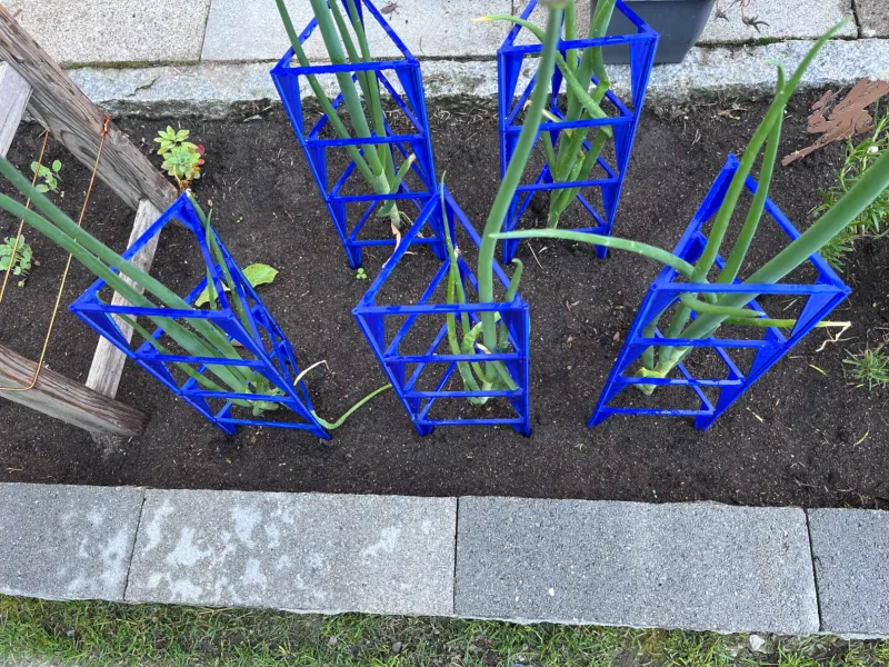 Échelle à plantes