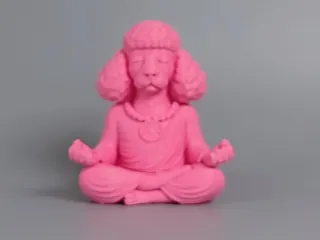Poodle Meditating
