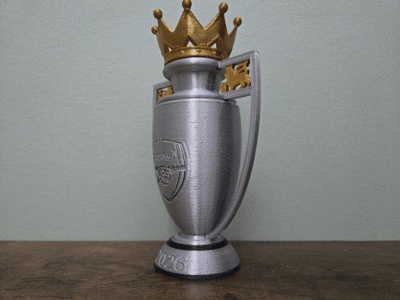 Trofeo dell'Arsenal