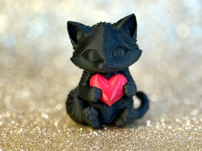 Heart's cat