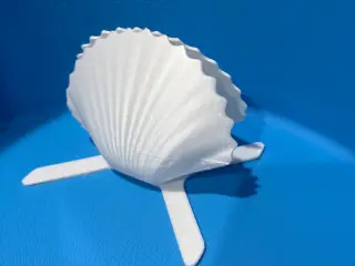 Seashell napkin holder