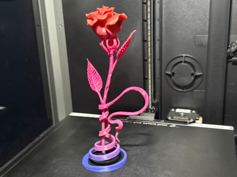 La Rose qui ne fane jamais