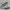 Low Poly Narwhal