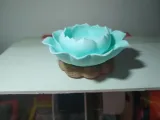 荷花版 多肉花盆-0
