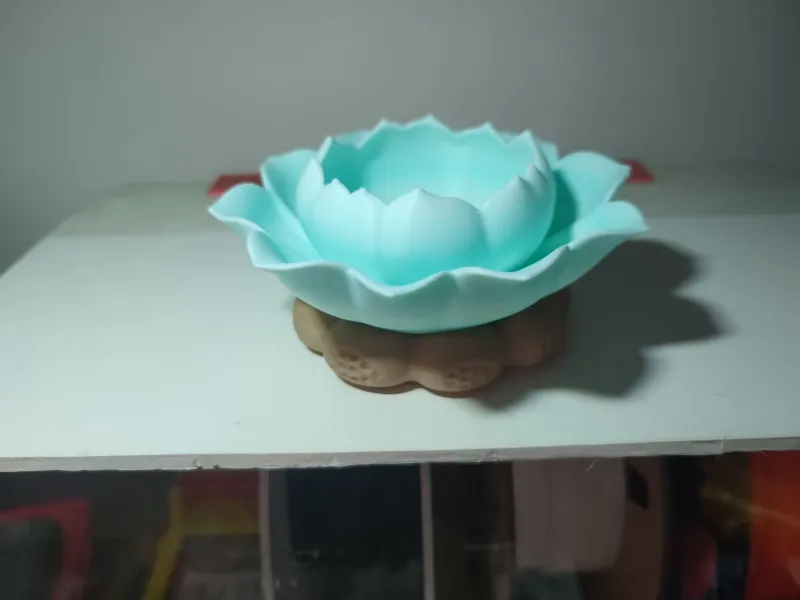 荷花版 多肉花盆
