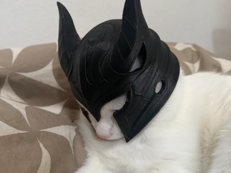 hElmo de gato