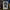 Las Vegas Raiders Brock Bowers Jersey Display