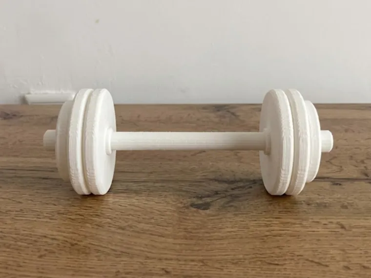 Straight Barbell - Decorative Fitness Model