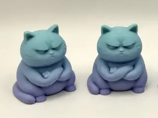 Grumpy Zen Cat