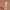 Christmas Elf with Gift – Festive Figurine