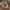 Grumpy Cat Herb Grinder - 2 - Part Magnetic - MellowVerse