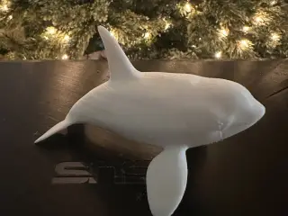 Orca