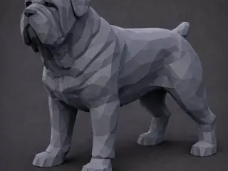 Neapolitan Mastiff